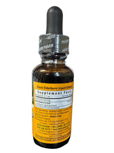 Black Elderberry