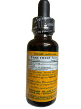 Uva-Ursi