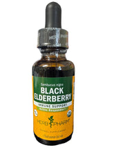 Black Elderberry