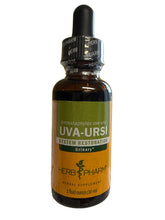 Uva-Ursi